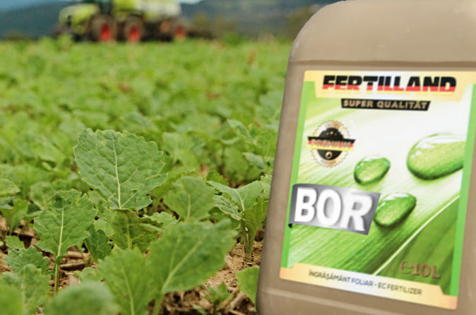 Ingrasaminte foliare